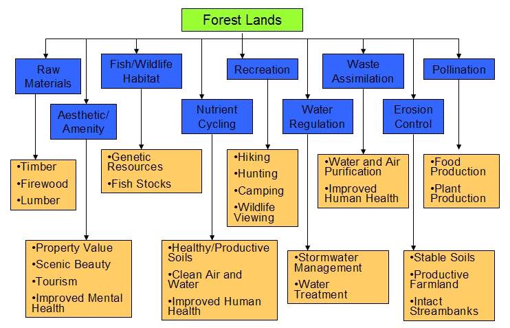 An example of the connection between Green Infrastructure, Ecosystem Services, and Economic Valuation. Using Forest Lands (Green Infrastructure) as an example, forests provide "raw materials" as an ecosystem service, but lumber has economic value.